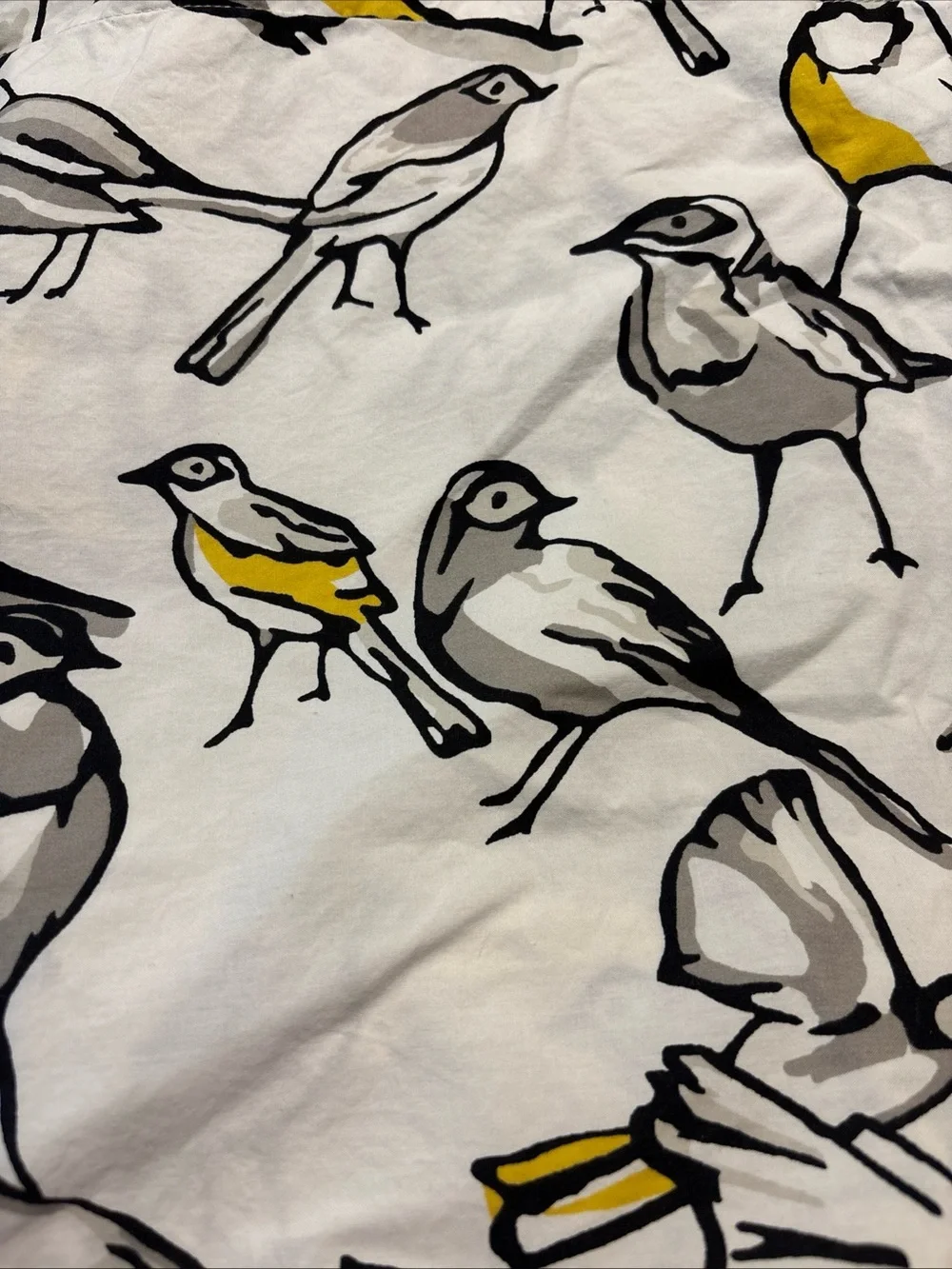 DwellStudio King Pillow Cases/Shams Sketch-style Birds 100% Cotton Set Of 2